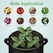 Ipower Grow Bag 15 gallon 10 pack with green edge, 10PK GLGROWBAG15X5EGRNX2 - alternate 4
